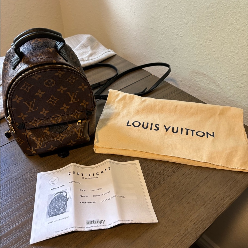 Louis Vuitton Palm Springs Mini Backpack Perfect condition!!